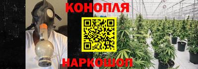 сатива Заволжье