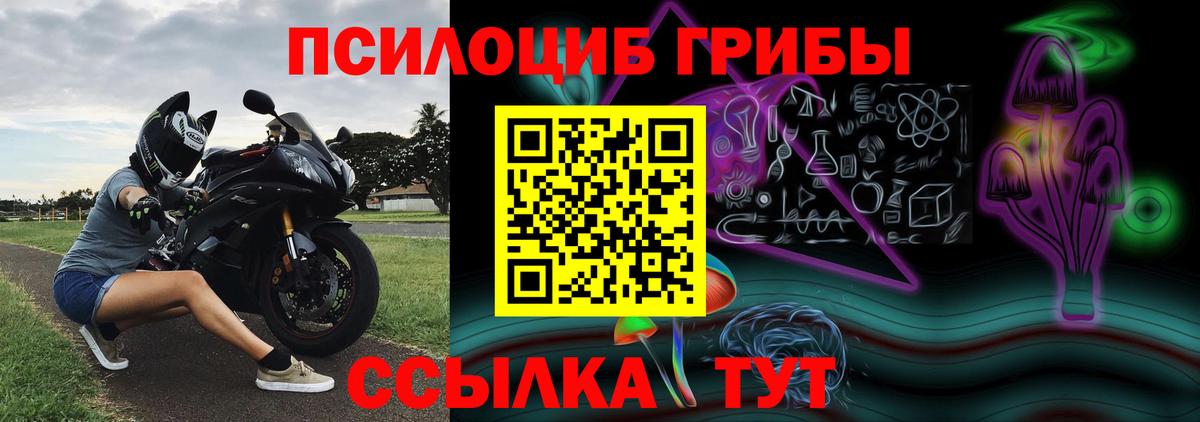 Псилоцибиновые грибы мицелий  купить   Кириши  Галлюциногенные грибы мухоморы  Вход с VPN 